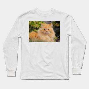 Ginger cat Long Sleeve T-Shirt